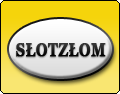 Okręgowa Stacja Kontroli Pojazdów