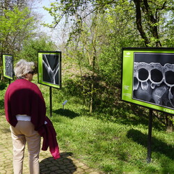 Międzynarodowy Dzień Ziemi ŚOB