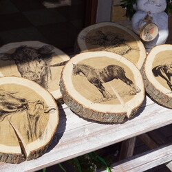 Międzynarodowy Dzień Ziemi ŚOB