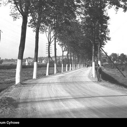 Mikołów na starych zdjęciach