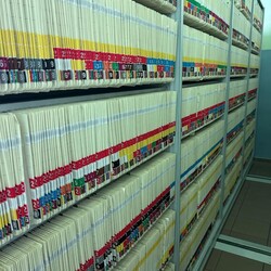 Profesjonalny Mikołowski