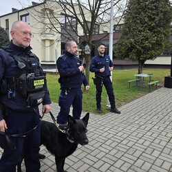 Pomoc dla bezdomnych zwierząt