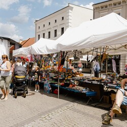 Dzień Dziecka na rynku