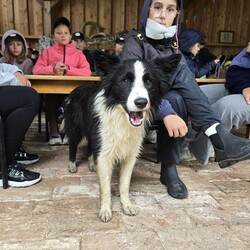 Bezpieczne wakacje w Mikołowie