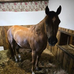 Bezpieczne wakacje w Mikołowie