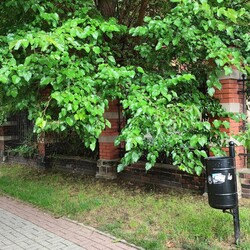 Renowacja willi przy ul. Katowickiej 22