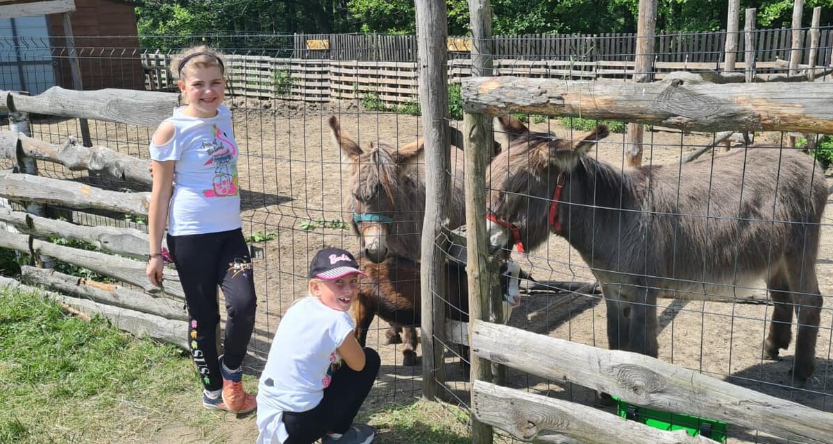 Akademia Kreowania Uzdolnień Każdego Urwisa to popularne miejsce na mapie województwa śląskiego. Kojarzy się z ogromnym zielonym terenem, mini zoo i terapeutycznym placem zabaw – słowem miejscem, gdzie spełniają się dziecięce marzenia. Teraz zmienia swoją siedzibę. Niebawem przeniesie się z Mikołowa i pojawi się w Rudzie Śląskiej-Wirku!