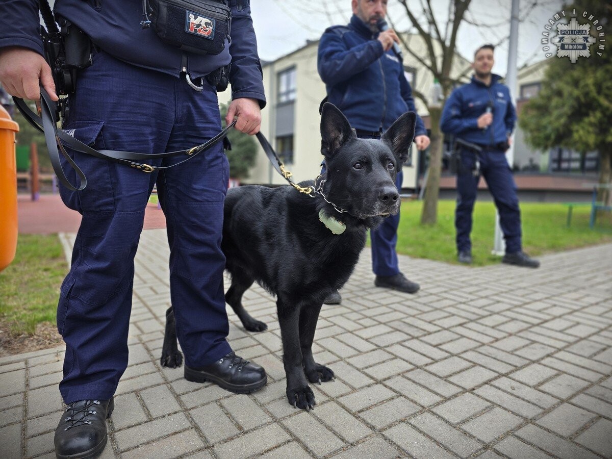Mikołowscy mundurowi zorganizowali akcję na rzecz bezdomnych zwierząt / fot. KPP Mikołów