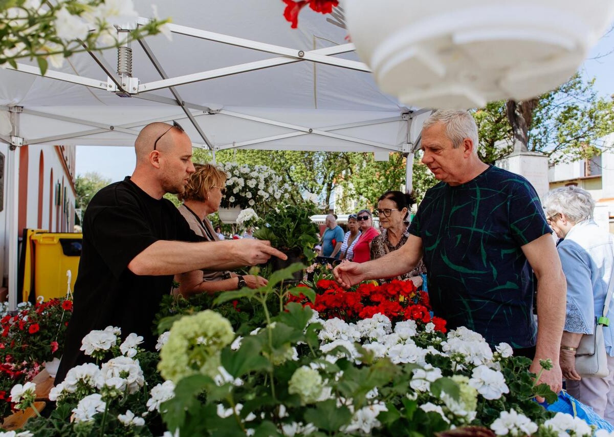 Za nami Przedmajówka 2025 w Mikołowie / fot/ Birdabo Studio
